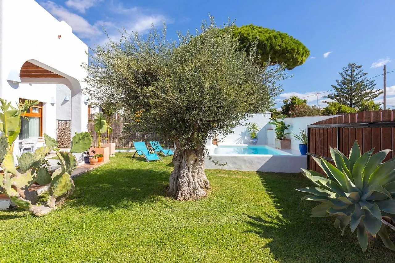 Vakantiehuis La Ballena Azul Conil Cádiz